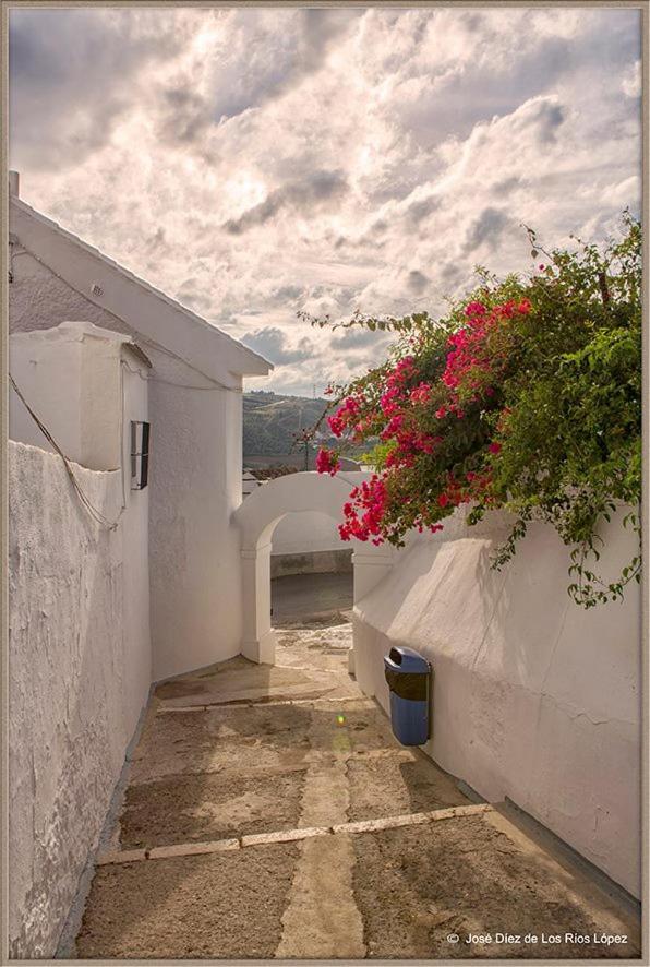 Гостьовий будинок Casa Angelita Caminito Del Rey, Duplex Con Terraza En El Centro De Andalucia Valle de Abdalagis Екстер'єр фото