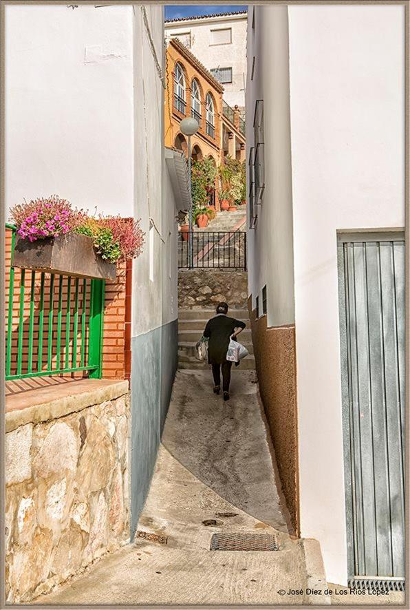 Гостьовий будинок Casa Angelita Caminito Del Rey, Duplex Con Terraza En El Centro De Andalucia Valle de Abdalagis Екстер'єр фото